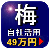 プライバシーマーク取得　「自社活用」【梅】コース詳細